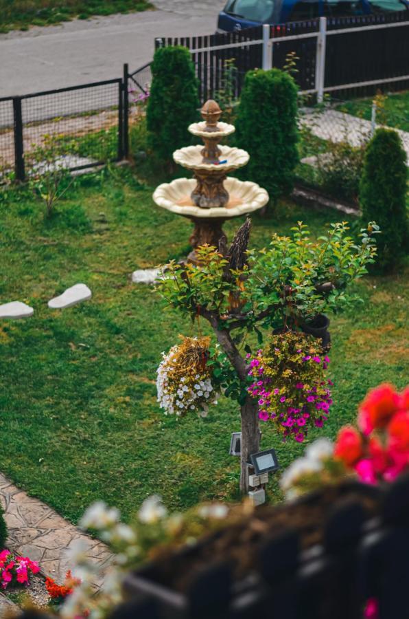 Vila Petunija Сйеница Екстериор снимка